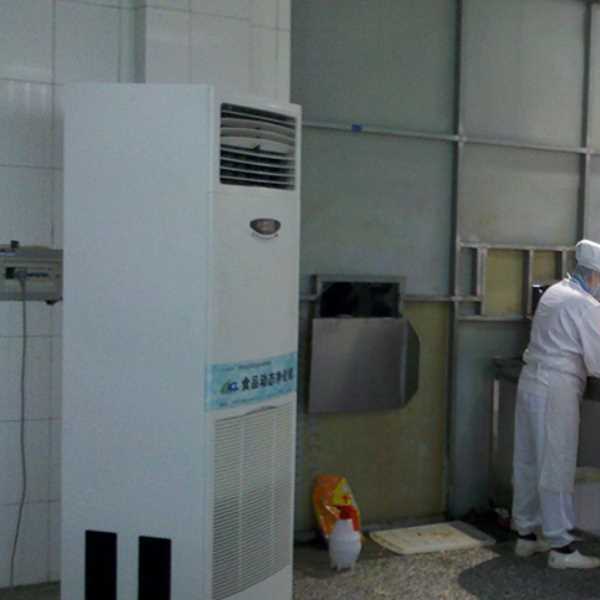 邵阳食品正负离子空气杀菌器